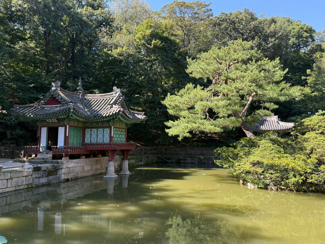 The Secret Garden - Seoul, South Korea